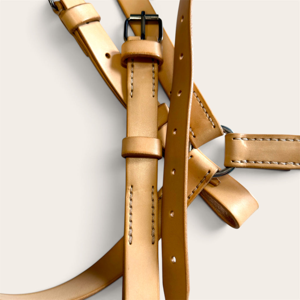 Set of historical military harnesses with a belt